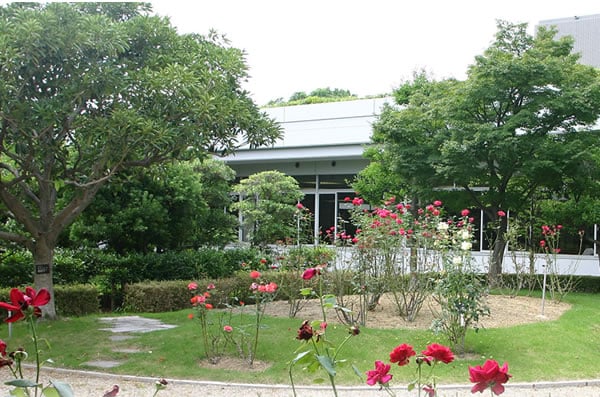 ローズガーデン